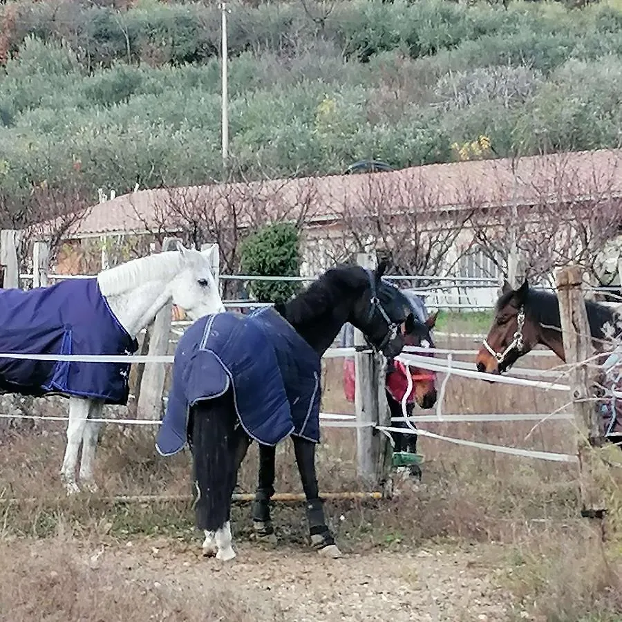 Farm stay Agriturismo Andreis Alloggi Illasi