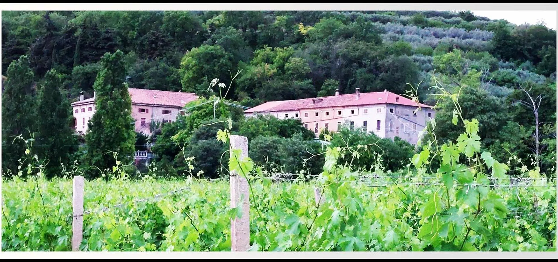 Farm stay Agriturismo Andreis Alloggi Illasi Italy